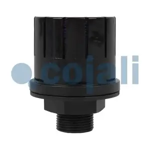 2303100 COJALI