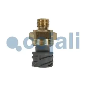 2260929 COJALI