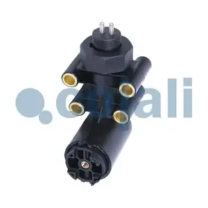 2209100 COJALI