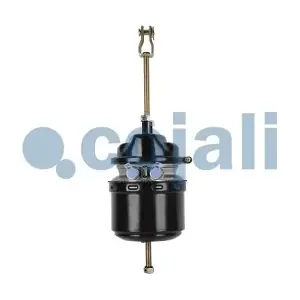 2251530 COJALI