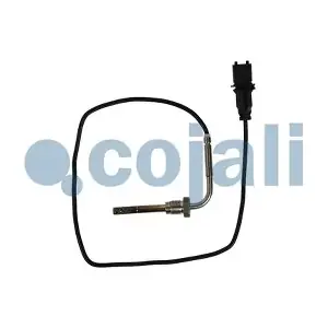 2260906 COJALI