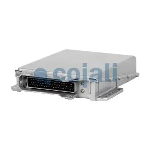 350113 COJALI