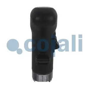2880141 COJALI
