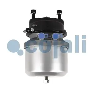 2351304 COJALI