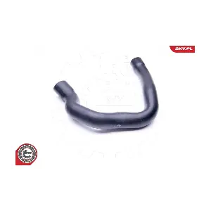24SKV133 ESEN SKV