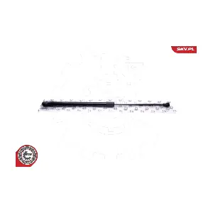 52SKV571 ESEN SKV