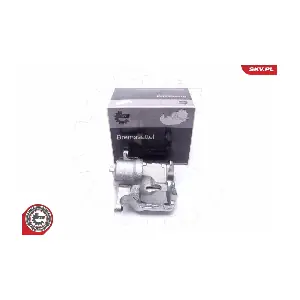 55SKV981 ESEN SKV
