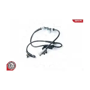 06SKV259 ESEN SKV