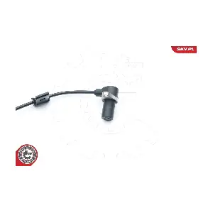 06SKV311 ESEN SKV