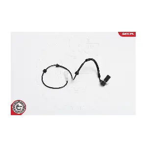 06SKV167 ESEN SKV
