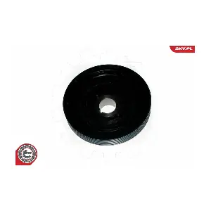 95SKV321 ESEN SKV