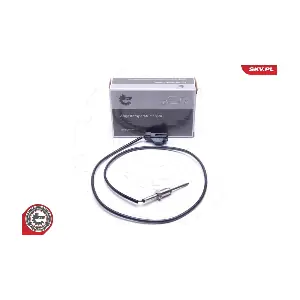 30SKV253 ESEN SKV
