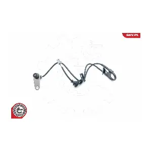 06SKV307 ESEN SKV