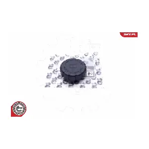 61SKV017 ESEN SKV