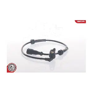 06SKV119 ESEN SKV