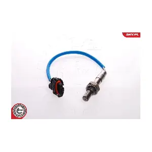 09SKV073 ESEN SKV