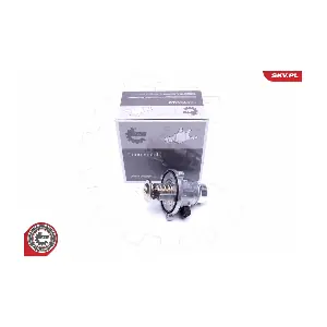 20SKV063 ESEN SKV