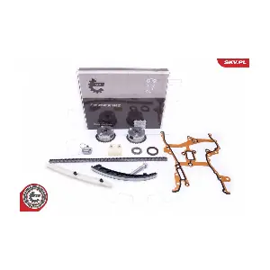 21SKV239 ESEN SKV