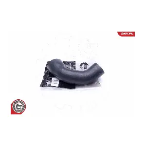 43SKV193 ESEN SKV