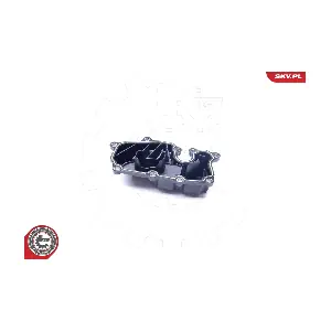 31SKV089 ESEN SKV