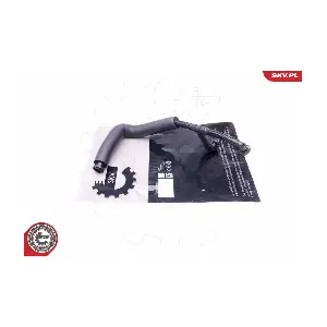 43SKV331 ESEN SKV