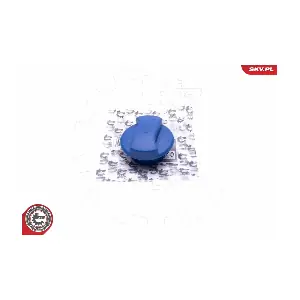 61SKV013 ESEN SKV