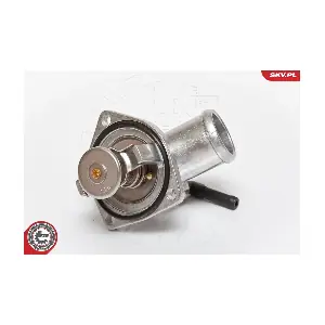 20SKV005 ESEN SKV