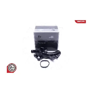 20SKV609 ESEN SKV