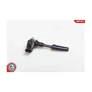 03SKV077 ESEN SKV