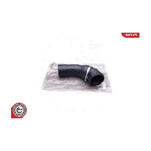 24SKV731 ESEN SKV