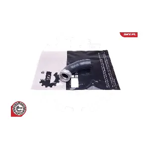 43SKV386 ESEN SKV