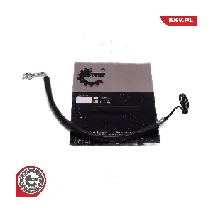 10SKV863 ESEN SKV