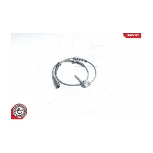 06SKV268 ESEN SKV
