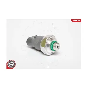 95SKV119 ESEN SKV