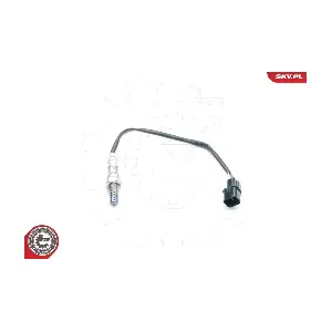 09SKV739 ESEN SKV
