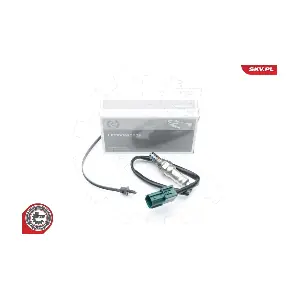09SKV683 ESEN SKV