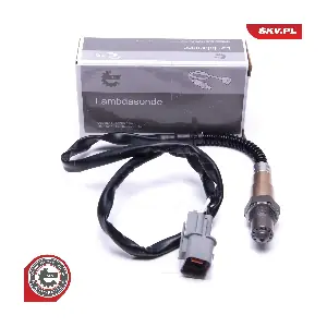 09SKV119 ESEN SKV