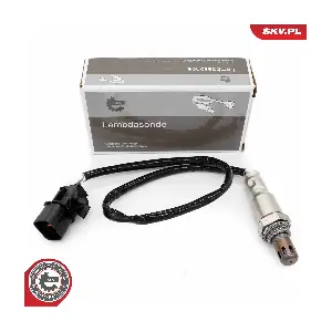 09SKV154 ESEN SKV