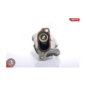 18SKV005 ESEN SKV