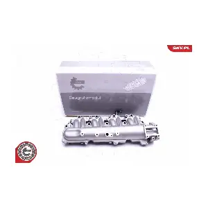49SKV029 ESEN SKV
