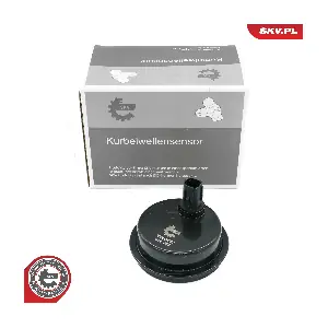 06SKV537 ESEN SKV
