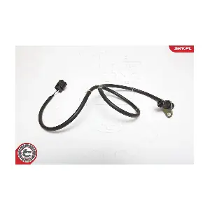 06SKV184 ESEN SKV