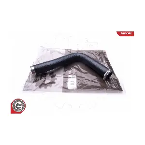 24SKV969 ESEN SKV