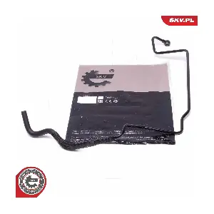 10SKV819 ESEN SKV