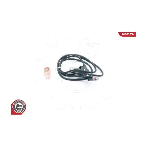 06SKV294 ESEN SKV