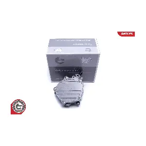 18SKV056 ESEN SKV
