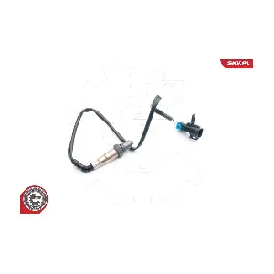 09SKV713 ESEN SKV