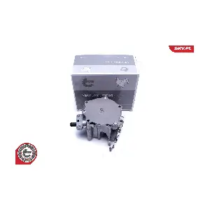 18SKV060 ESEN SKV