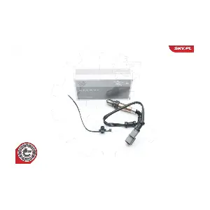 09SKV647 ESEN SKV