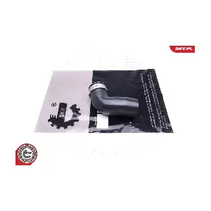 43SKV387 ESEN SKV